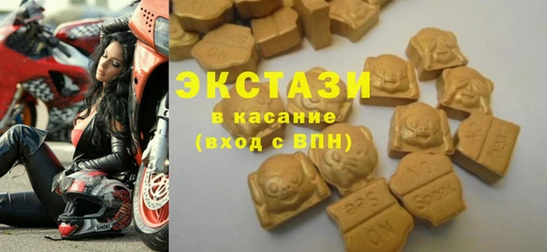 шишки Медвежьегорск