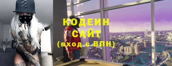 прущие грибы Медногорск