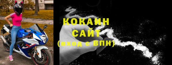шишки Медвежьегорск