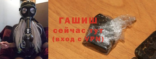 шишки Медвежьегорск