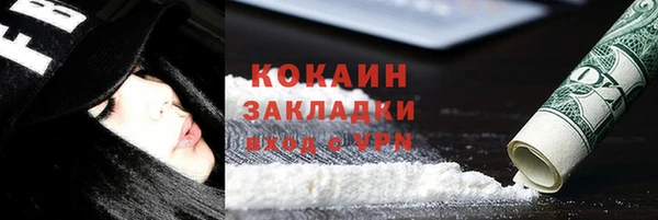 шишки Медвежьегорск