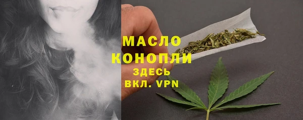 прущие грибы Медногорск