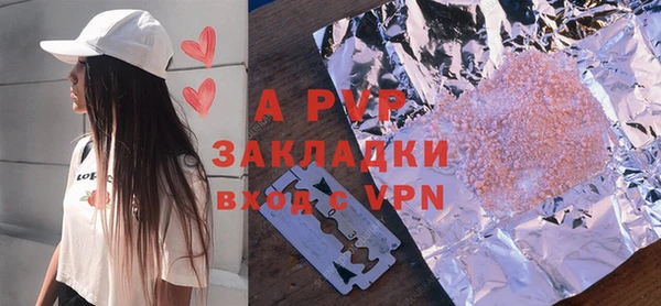 шишки Медвежьегорск