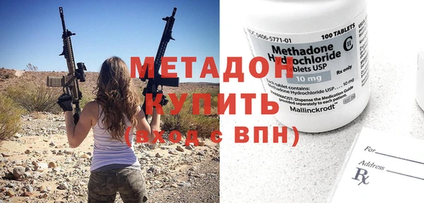 прущие грибы Медногорск