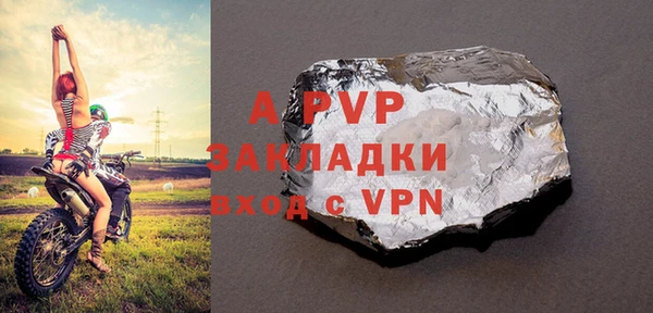 шишки Медвежьегорск