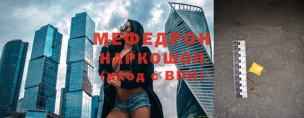 шишки Медвежьегорск