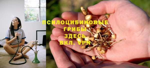 прущие грибы Медногорск