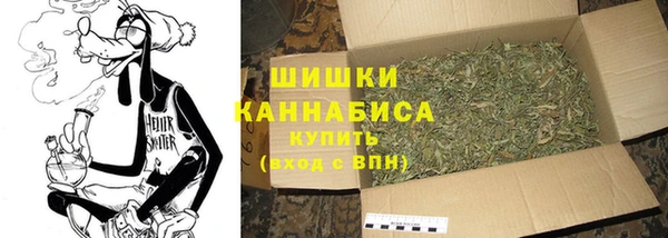 шишки Медвежьегорск