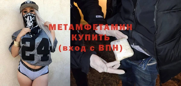 прущие грибы Медногорск