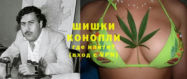 шишки Медвежьегорск