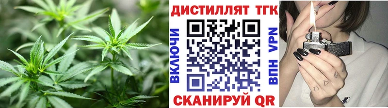 Купить где  Кировград  Дистиллят ТГК Wax 