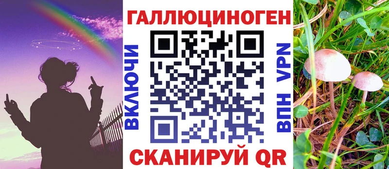 Купить  Кировград  Галлюциногенные грибы Cubensis 